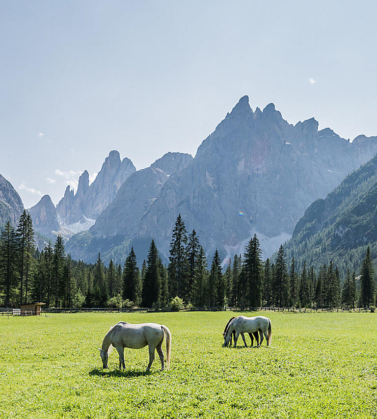 Val Fiscalina a Sesto - Dolomiti - Alto Adige Val Fiscalina: un gioiello tra le Dolomiti di Sesto