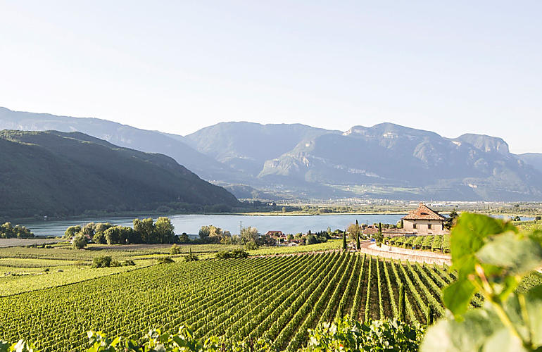Vacanze in agriturismo a Bolzano e dintorni Vacanze in agriturismo a Bolzano e dintorni